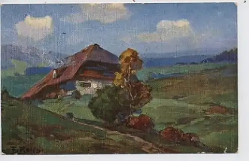 Fr. Reiss Sommer im Schwarzwald gl1909 36.007