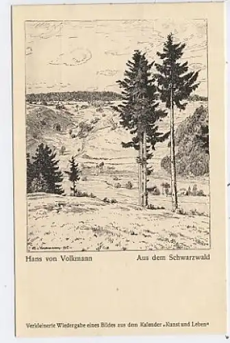 Hans von Volkmann - Aus dem Schwarzwald Künstler-AK ngl 41.119