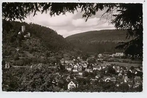 Bad Liebenzell, Ansicht vom Schönblick gl1918 33.509