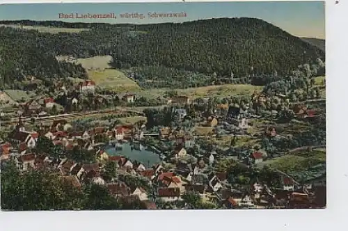 Bad Liebenzell Gesamtansicht gl1938 32.554