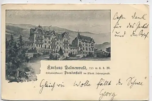 Freudenstadt Kurhaus Palmenwald gl1905 40.924