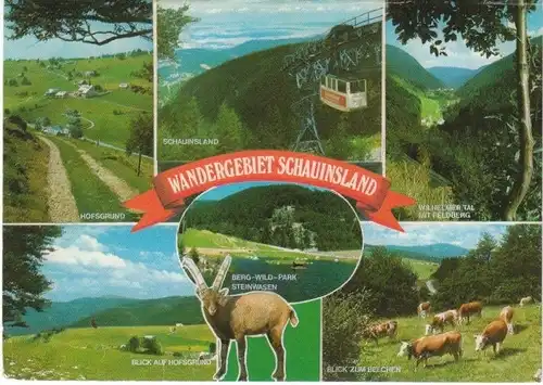 Schwarzwald Wandergebiet Schauinsland ngl 26.689