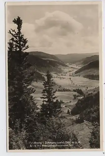 Feldberg Blick ins Menzenschwander Tal gl1929 36.401