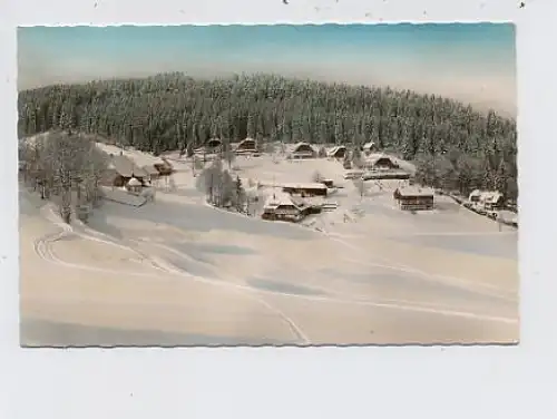 Hinterzarten Gesamtansicht Schnee gl1968 36.436