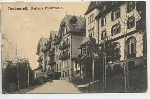 Freudenstadt Kurhaus Palmenwald gl1910 39.960