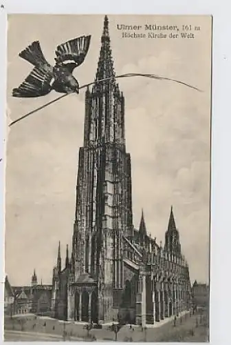 Ulm Münster gl1914 32.694