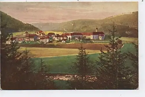 Beuron Gesamtansicht gl1924 40.015