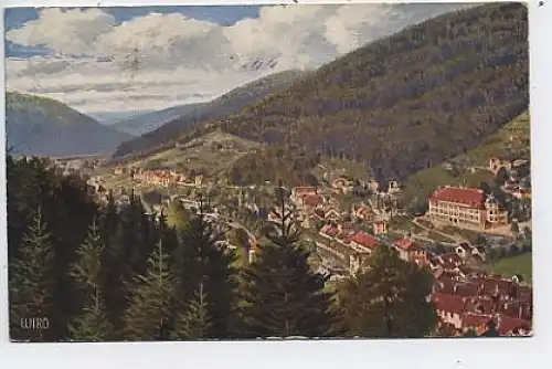 Wildbad Gesamtansicht Untere Stadt gl1919 40.047