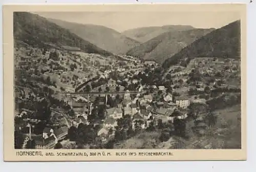 Hornberg Blick ins Reichenbachtal gl1926 33.230