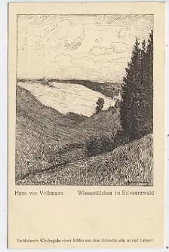 Wiesentälchen im Schwarzwald Künstler-AK ngl 41.135