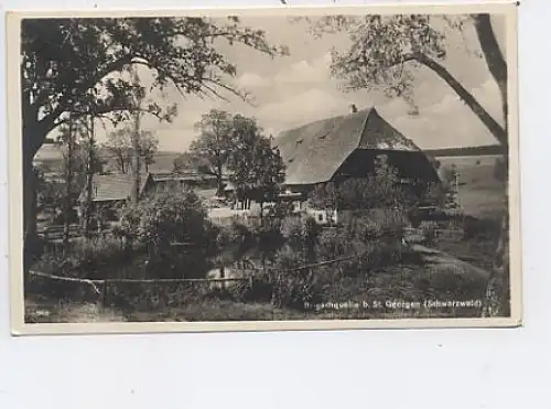 Brigach-Quelle bei St.Georgen Schwarzwald ngl 46.436