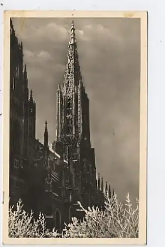 Ulm an der Donau Münster gl1942 37.493