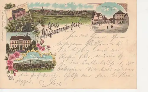 Wassertrüdingen Litho Distriktskrankenh. gl1898 73.892