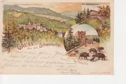 Schwarzathal Litho Schloss Schweizerhaus gl1898 88.803