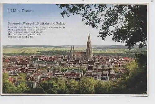 Ulm a. D. Gesamtansicht ngl 32.893