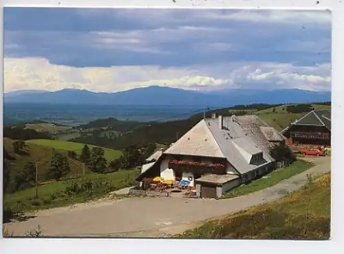 Münstertal Schwarzwald Zähringer Hof Werbekarte 46.218