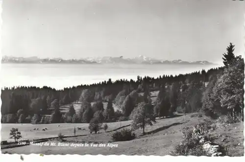 Massif du Mt.Blanc depuis la Vue d'Alpes gl1962 28.143