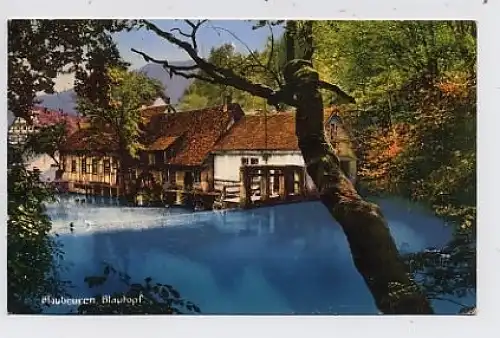 Blaubeuren Blautopf gl1931 33.250