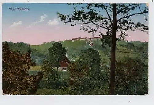 Rosenfeld Gesamtansicht ngl 33.332