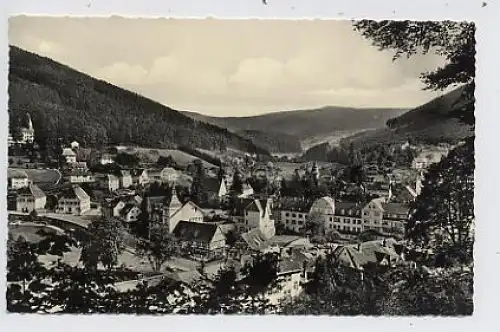 Herrenalb im Schwarzwald gl1958 34.020