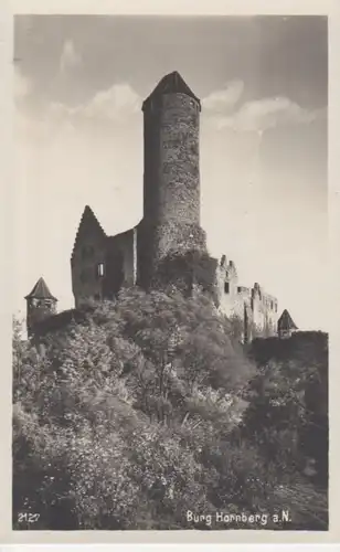 Burg Hornberg a.N. Gesamtansicht Foto ngl 12.951