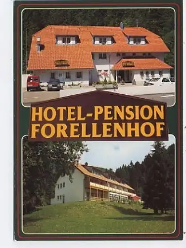 Oberprechtal-Elzach / Pension Forellenhof ngl 37.426