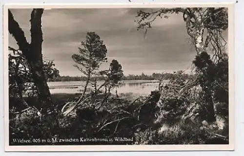 Wildsee Kaltenbronn mit Gästehaus ngl 37.599