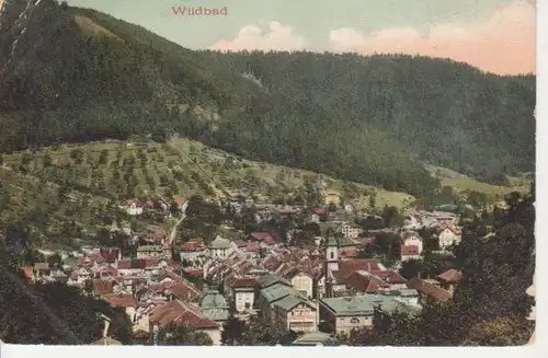 Wildbad Gesamtansicht gl1907 73.406