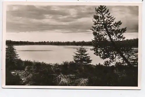 Hohlohsee bei Wildbad Schwarzwald ngl 41.250