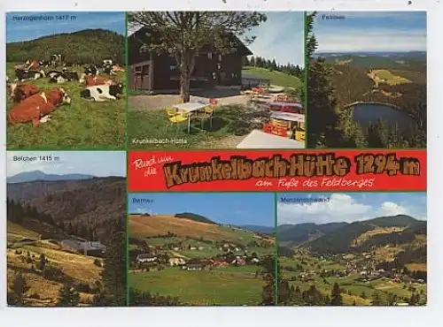 Bernau Schwarzwald Krunkelbach-Hütte ngl 45.908