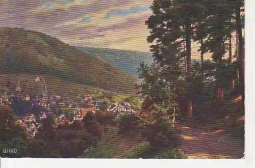 Wildbad Gesamtansicht mit Waldpartie gl1917 73.405