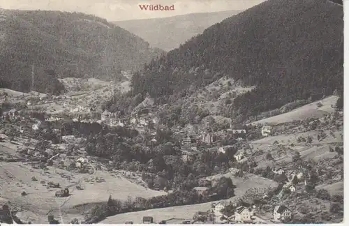 Wildbad Gesamtansicht gl1917 73.434