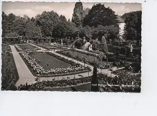 Insel Mainau Bodensee Rosengarten 1955 ngl 46.184