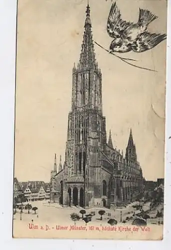 Ulm a.D., Ulmer Münster gl1910 37.245