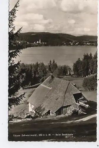 Titisee im Schwarzwald Seehäusle Fotokarte ngl 37.526