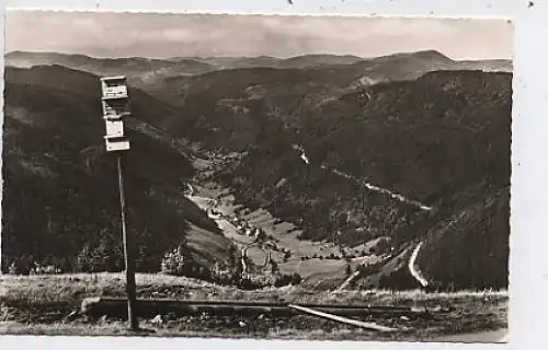 Blick vom Feldberg ins Wiesental/Fahl gl1964 37.583