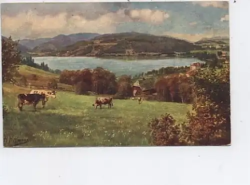 Titisee mit Feldberg H.HOFFMANN ngl 46.443