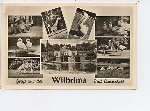 Gruß aus der Wilhelma Bad Cannstatt gl1955 43.342