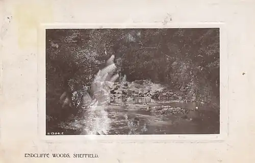 Endcliffe Woods, Sheffield ngl B9415
