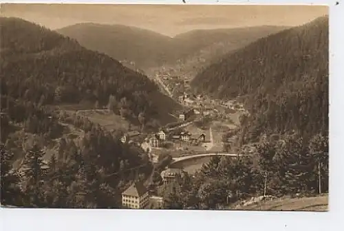 Triberg Blick auf Triberg vom Hohnen ngl 37.529