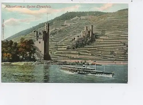 Mäuseturm und Ruine Ehrenfels ngl 43.451