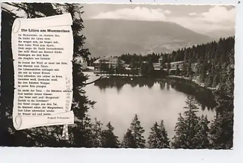 Mummelsee im Schwarzwald Berghotel ngl 37.567