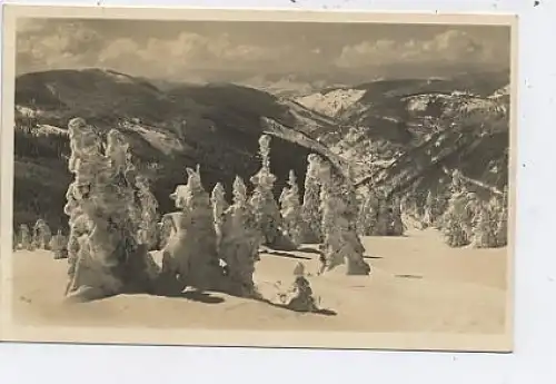 Feldberg Blick ins Wiesental ngl 37.956