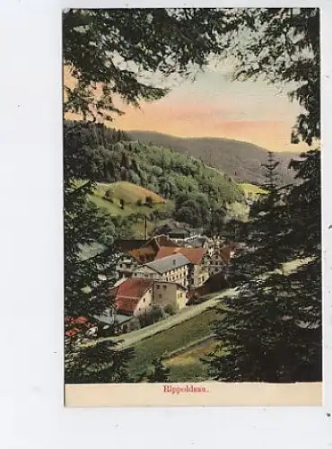 Rippoldsau Teilansicht gl1908 43.429