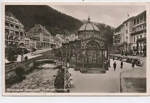 Wildbad Partie mit Trinkhalle gl1950 37.895