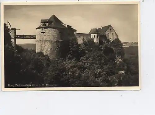 Donautal Burg Wildenstein ngl 46.562