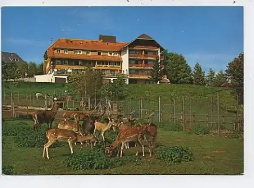 Häusern Schwarzw.Wildpark Hotel Waldlust ngl 45.927