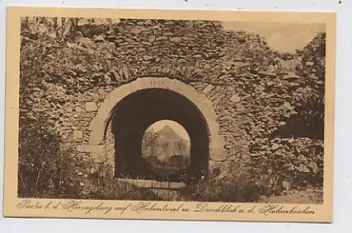 Hohentwiel Herzogsburg ngl 34.577