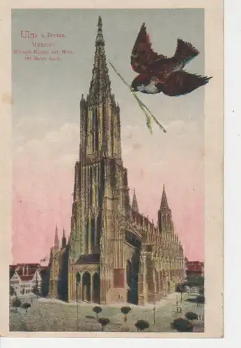 Ulm a. D. Münster ngl 74.757