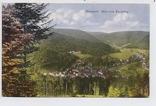 Herrenalb im Albtal Blick vom Wurstberg ngl 34.617